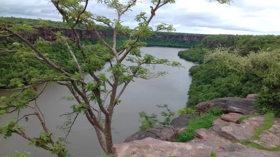 The Chambal river bending through a forested gorge