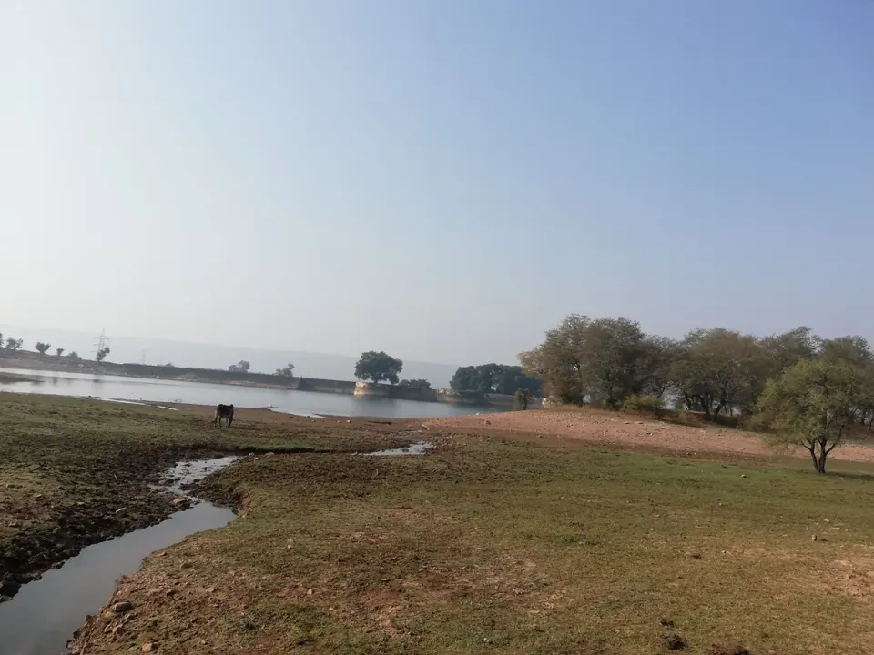 A shallow reservoir and grassland in Mukundara in winter